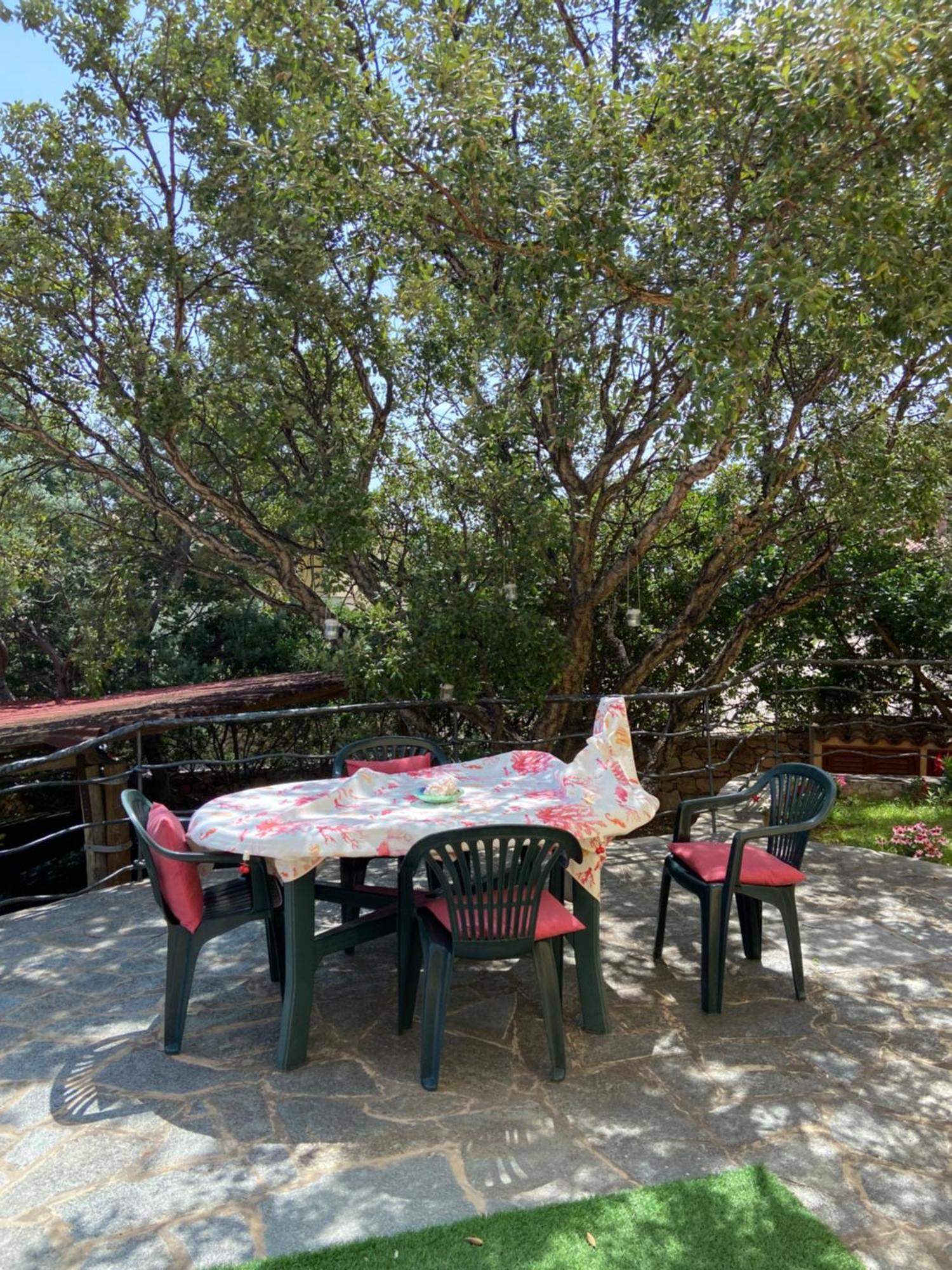 Case Vacanze Villa Rosita 圣特奥多罗 外观 照片