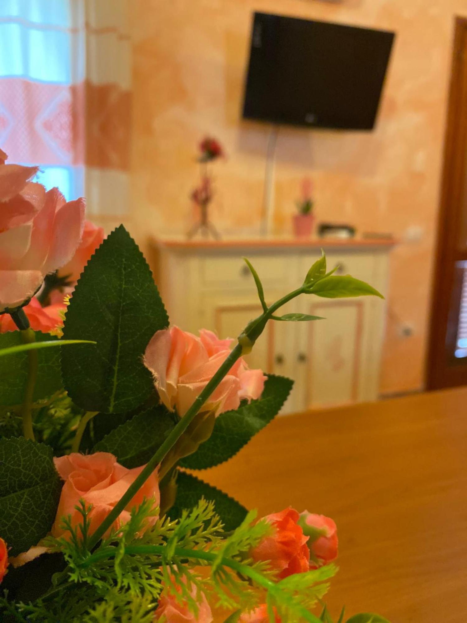 Case Vacanze Villa Rosita 圣特奥多罗 外观 照片